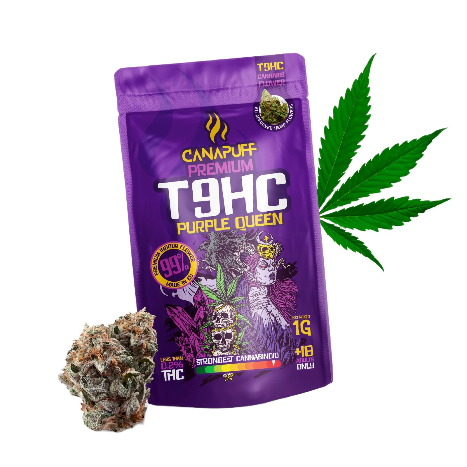 Flores T9HC Purple Queen 99%